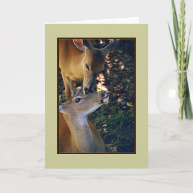 Tarjeta de saludo en blanco 'Nuzzling Deer Duo' (Anverso)