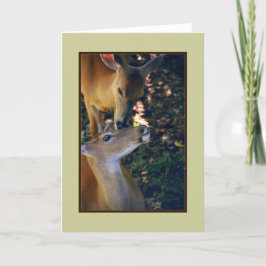 Tarjeta de saludo en blanco 'Nuzzling Deer Duo'