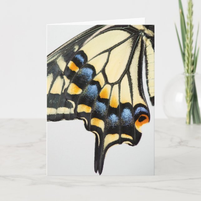 Tarjeta de saludo en blanco para mariposa de cola  (Anverso)