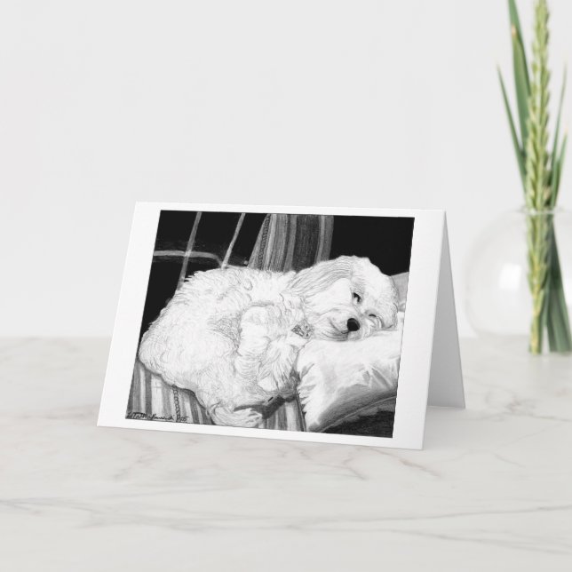 Tarjeta de saludo en blanco para retrato de perro  (Anverso)