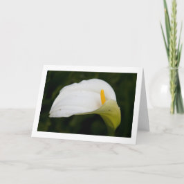 Tarjeta de saludo en blanco plegado de flor de pri