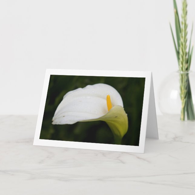 Tarjeta de saludo en blanco plegado de flor de pri (Anverso)