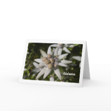 Tarjeta de saludo en blanco plegado de flor Edelwe