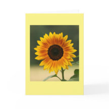 Tarjeta de saludo en blanco plegado de girasol de