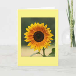 Tarjeta de saludo en blanco plegado de girasol de 