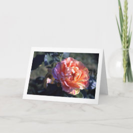 Tarjeta de saludo en blanco plegado rosa rosa