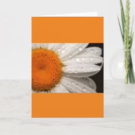 Tarjeta de saludo en blanco plegado Summer Daisy