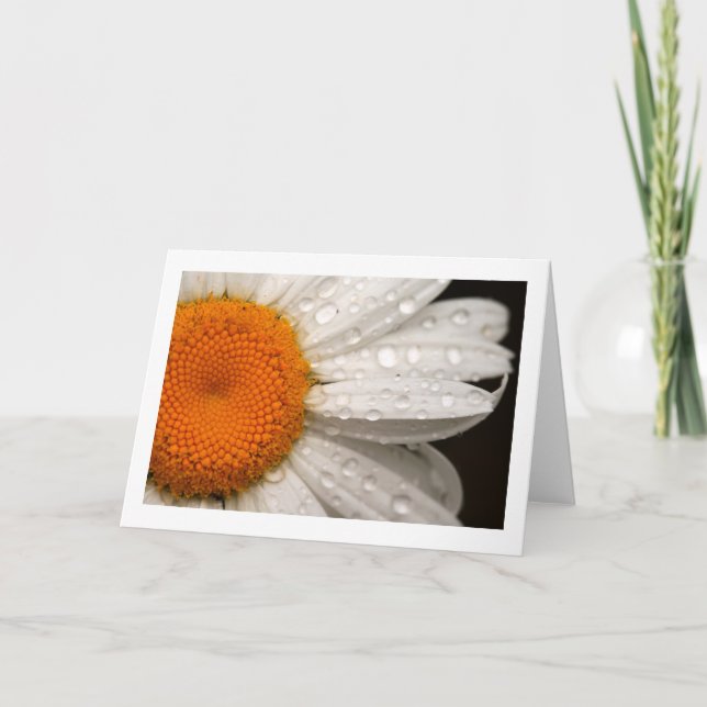 Tarjeta de saludo en blanco plegado Summer Daisy (Anverso)