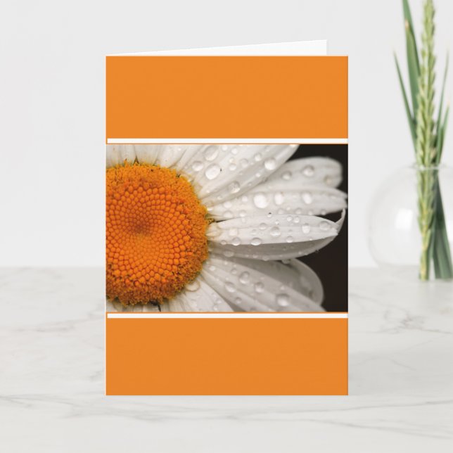 Tarjeta de saludo en blanco plegado Summer Daisy (Anverso)