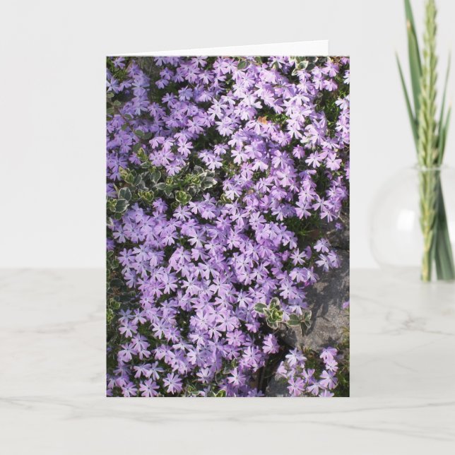 Tarjeta de saludo en blanco 'Purple Springtime' (Anverso)