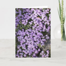 Tarjeta de saludo en blanco 'Purple Springtime'