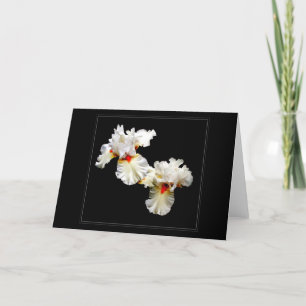 Tarjeta de saludo en blanco 'Ruffles'