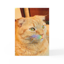 Tarjeta de saludo en blanco Skippy Mustache Rainbo