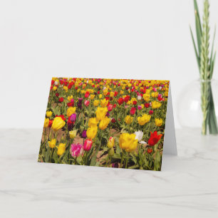 Tarjeta de saludo en blanco Tulip mania