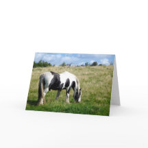 Tarjeta de saludo en blanco y negro para caballos