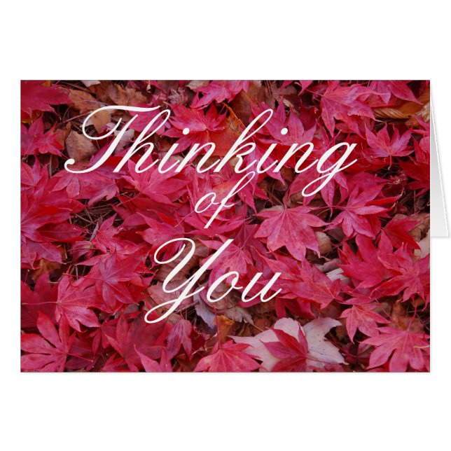 Tarjeta de saludo Fall Maple Leaves (Anverso (Horizontal))