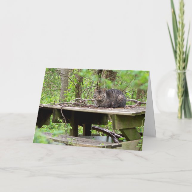 Tarjeta de saludo Feral Cat in Woods (Anverso)