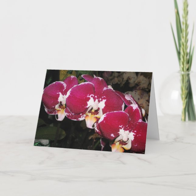 Tarjeta de saludo floral (Anverso)