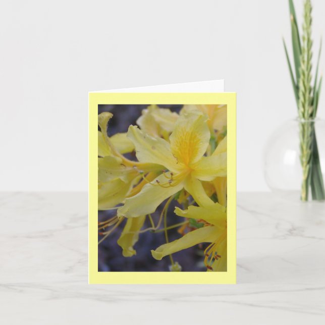 Tarjeta de saludo floral Amarilla (Anverso)