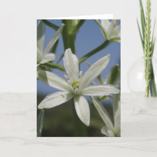 Tarjeta de saludo floral blanca