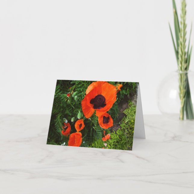 Tarjeta de saludo Floral Blank de Poppies (Anverso)