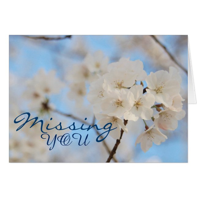 Tarjeta de saludo floral de primavera (Anverso (Horizontal))