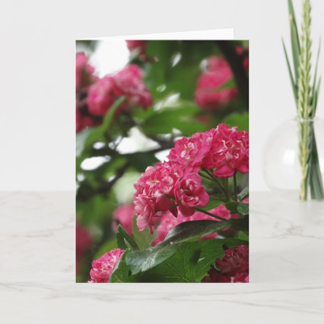 Tarjeta de saludo floral, estándar (Anverso)