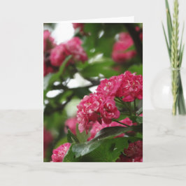 Tarjeta de saludo floral, estándar