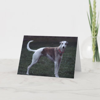 Tarjeta de saludo fotográfico "Bailey"