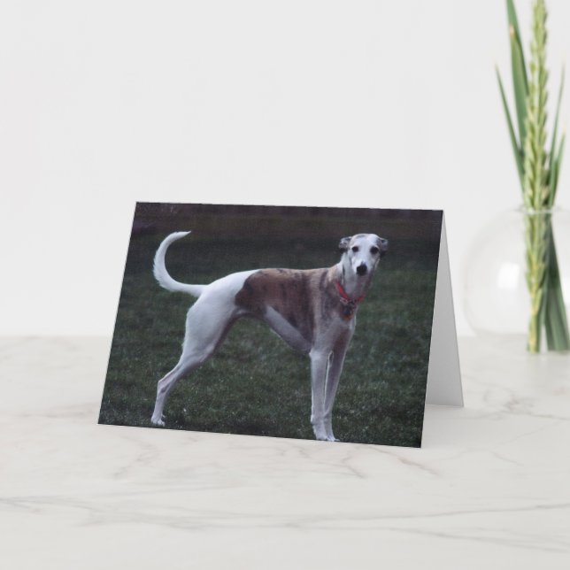 Tarjeta de saludo fotográfico "Bailey" (Anverso)
