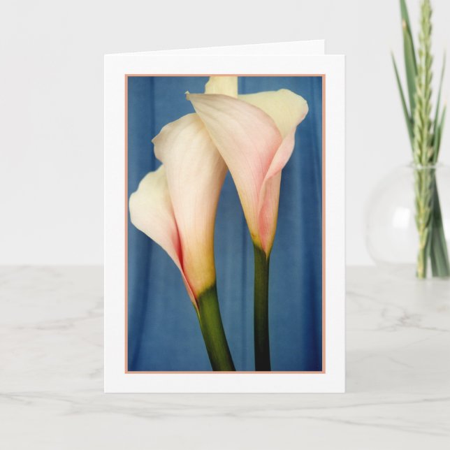 Tarjeta de saludo fotográfico Tango Calla Lily (Anverso)