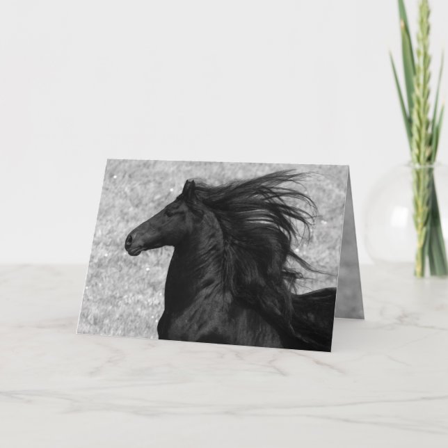 Tarjeta de saludo Friesian Flying Horse (Anverso)