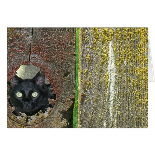 Tarjeta de saludo - Gato asomando por la valla (Anverso (Horizontal))