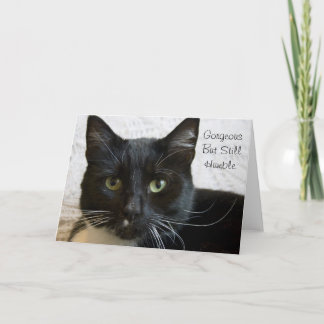 Tarjeta de saludo: Gato precioso