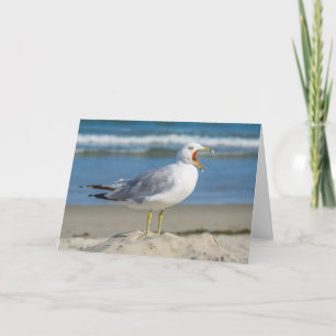 Tarjeta de saludo - Gaviota bostezante