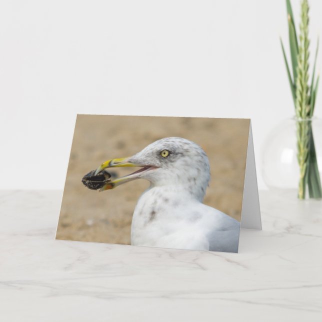 Tarjeta de saludo - Gaviota con mejillón (Anverso)