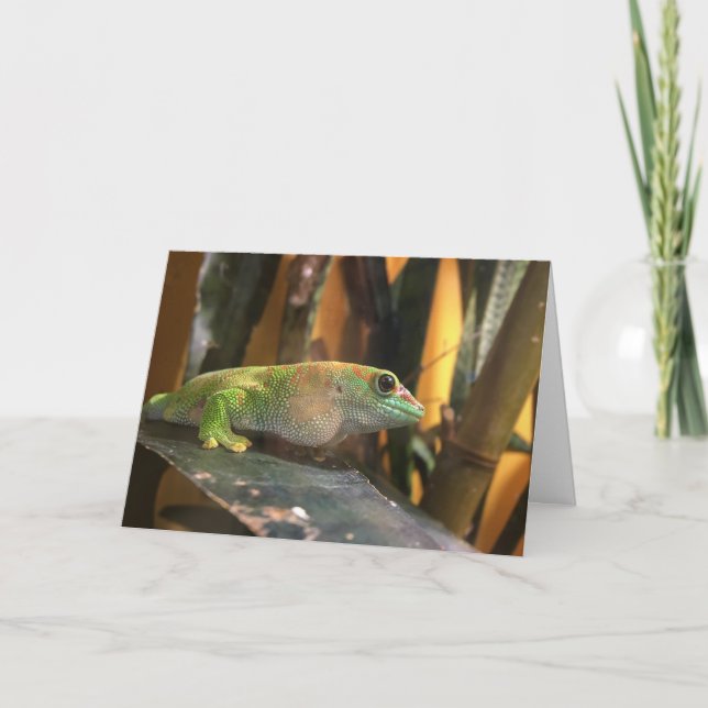 tarjeta de saludo gecko (Anverso)