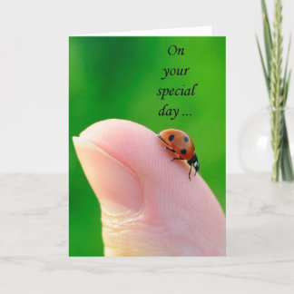 Tarjeta de saludo general Happy Birthday Ladybug