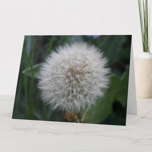 Tarjeta de saludo gigante de flores de Dandelion d (Anverso)
