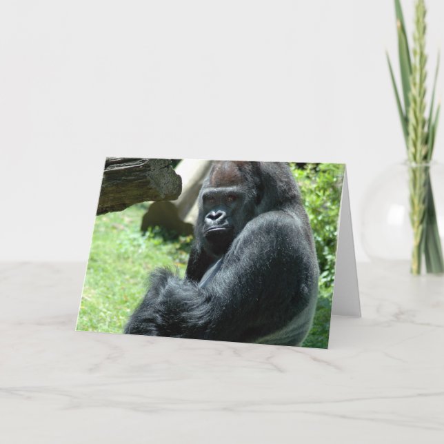 Tarjeta de saludo Gorilla Glare (Anverso)
