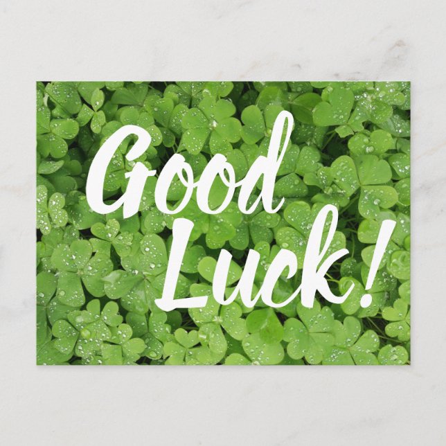 Tarjeta de saludo Green Shamrock Good Luck (Anverso)