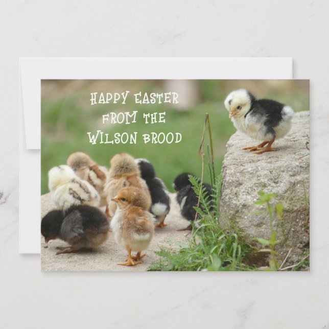 Tarjeta de saludo Happy Easter Baby Chicks (Anverso)