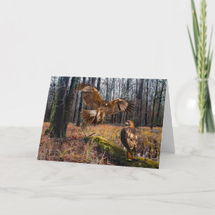 Tarjeta de saludo "Hawks de cola roja"