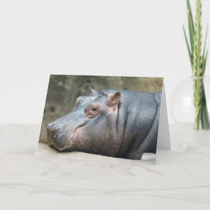 Tarjeta de saludo Hippopótamo