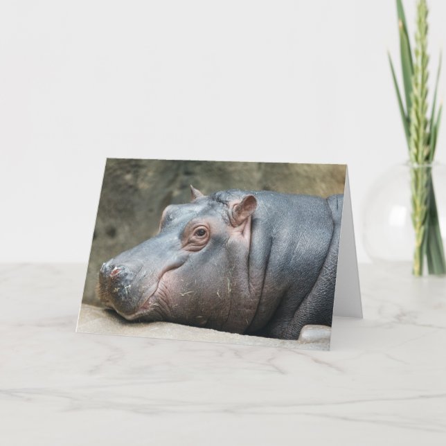 Tarjeta de saludo Hippopótamo (Anverso)