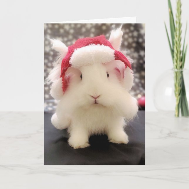 Tarjeta de saludo "Hoppy Holidays" (Anverso)