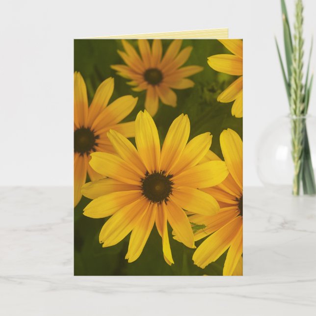 tarjeta de saludo "iluminas mi día" (Anverso)