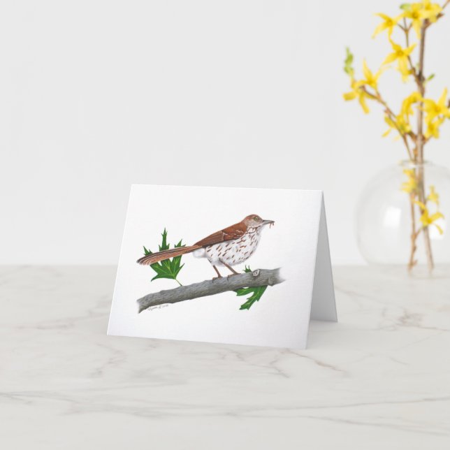 Tarjeta de saludo Inspiradora Brown Thrasher (flor amarilla)