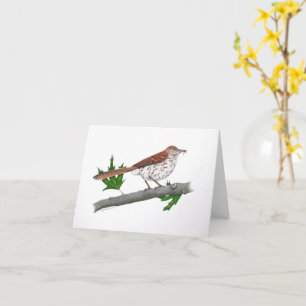 Tarjeta de saludo Inspiradora Brown Thrasher
