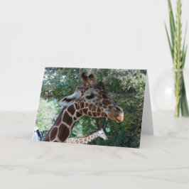 Tarjeta de saludo interior Giraffe Blank